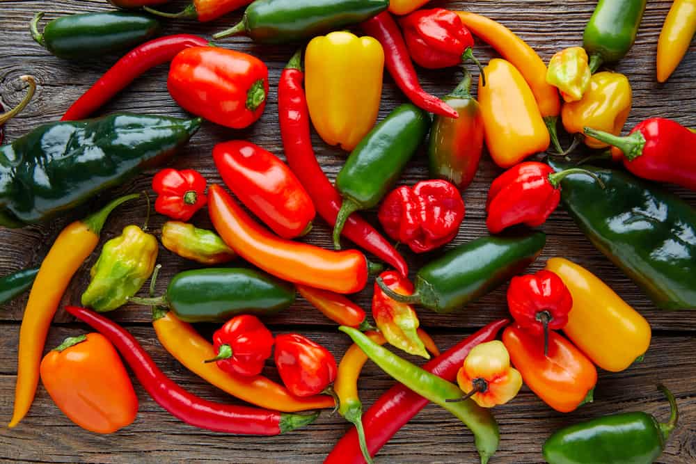 Opskrifter med Chilli​