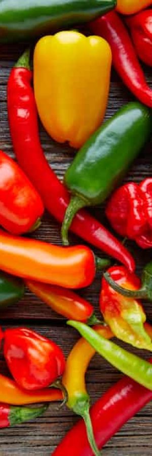 Opskrifter med Chilli​